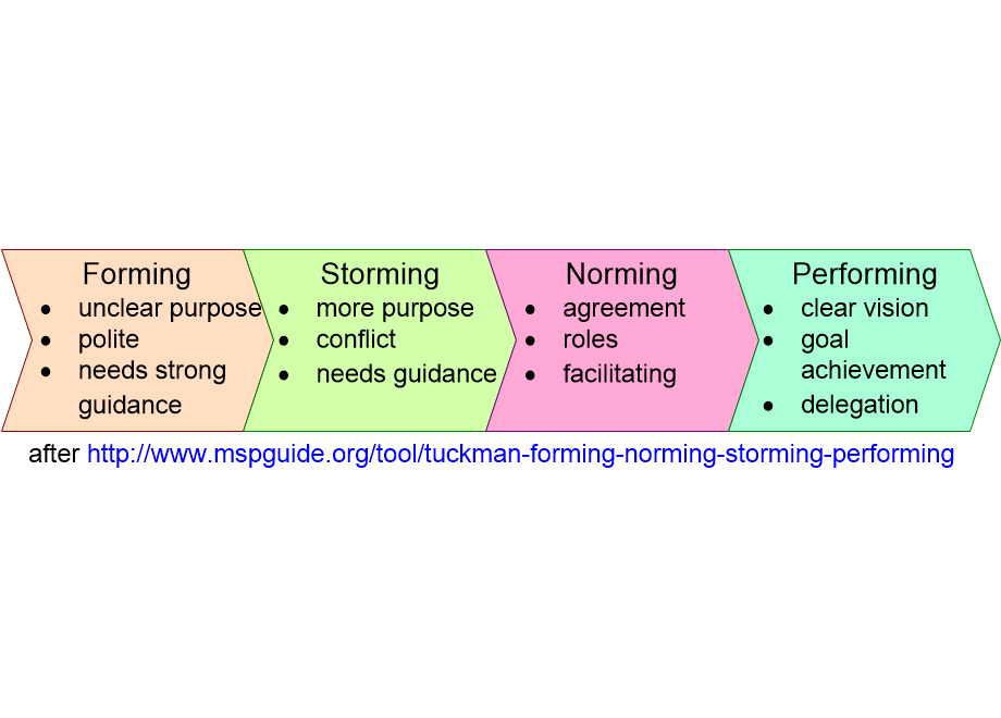 BSEARtuckmanTeamModel.fullsize.gif