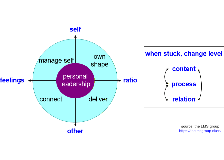 VFSCleadershipDiagrams.fullsize.gif